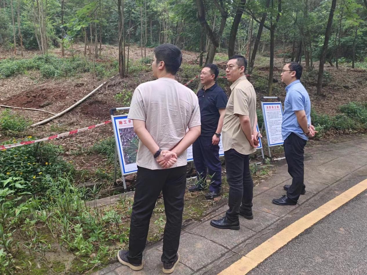 香港六宝大典资料大全